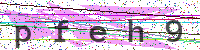 Enter Security Code
