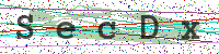 Enter Security Code
