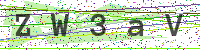 Enter Security Code
