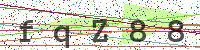 Enter Security Code