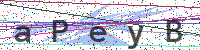 Enter Security Code