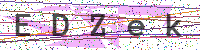 Enter Security Code