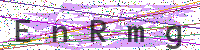 Enter Security Code