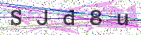 Enter Security Code