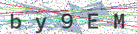 Enter Security Code