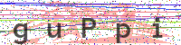 Sicherheitscode eingeben