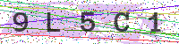 Enter Security Code