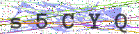 Enter Security Code