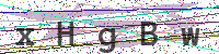 Enter Security Code