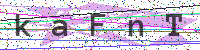 Enter Security Code