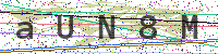 Sicherheitscode eingeben