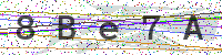 Enter Security Code