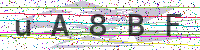 Sicherheitscode eingeben