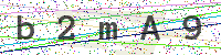 Sicherheitscode eingeben