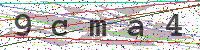 Sicherheitscode eingeben