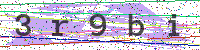 Enter Security Code
