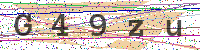 Enter Security Code