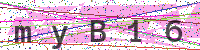 Enter Security Code