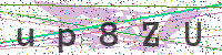 Enter Security Code