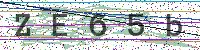 Enter Security Code