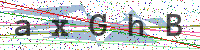 Enter Security Code