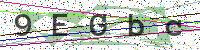 Enter Security Code