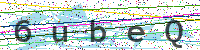 Enter Security Code