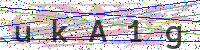 Enter Security Code