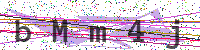 Sicherheitscode eingeben
