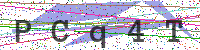 Enter Security Code