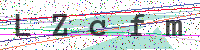 Enter Security Code