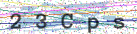 Enter Security Code