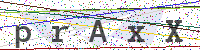 Sicherheitscode eingeben