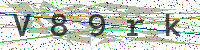 Enter Security Code