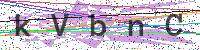 Enter Security Code