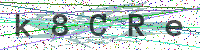 Enter Security Code