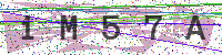 Enter Security Code