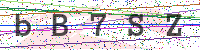 Enter Security Code
