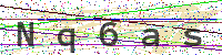 Enter Security Code