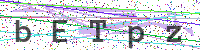 Enter Security Code