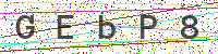 Enter Security Code