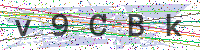 Enter Security Code