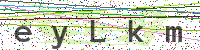 Sicherheitscode eingeben