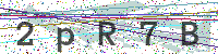 Enter Security Code