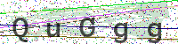 Enter Security Code