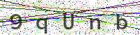 Enter Security Code