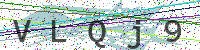 Enter Security Code