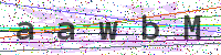 Sicherheitscode eingeben