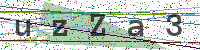 Enter Security Code