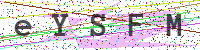 Enter Security Code